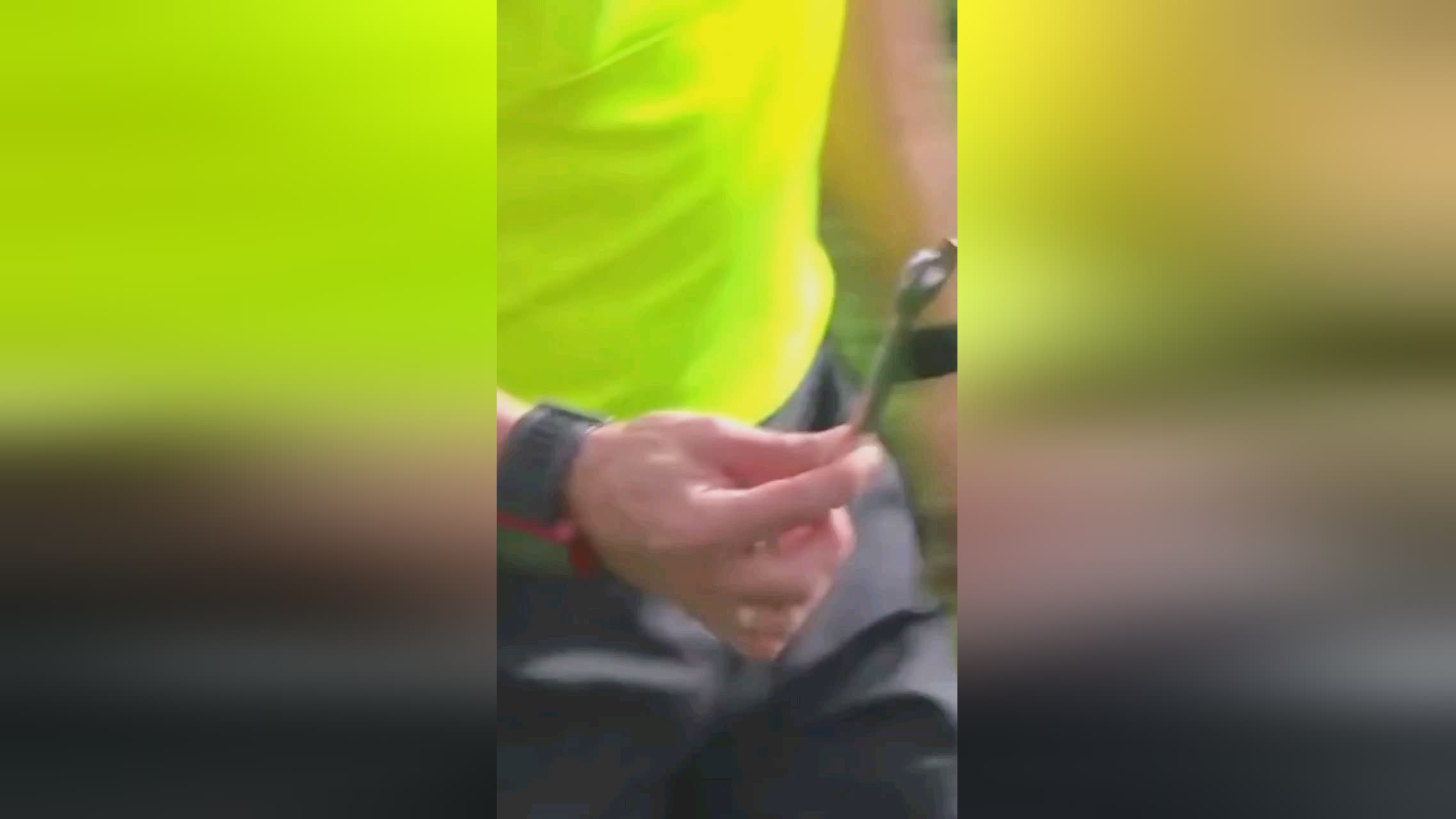 泳组